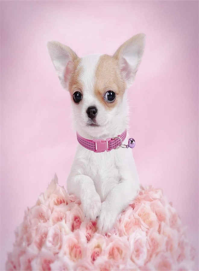 TELEYI XSmall Dog Collar with Bell,(2-Pack) Pink Reflective Cat Collar with Bells Girl Cute Fancy Puppy Collar with Bells for XXS XS Tiny Little Kitten Pet Female Dogs,Neck 7-12 Inch - Image 3